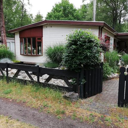Sfeervol, Ruim En Luxe Chalet In Bosrijke Omgeving Villa Diessen Dış mekan fotoğraf
