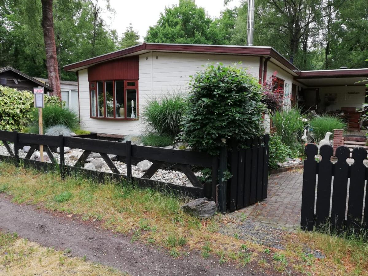 Sfeervol, Ruim En Luxe Chalet In Bosrijke Omgeving Villa Diessen Dış mekan fotoğraf